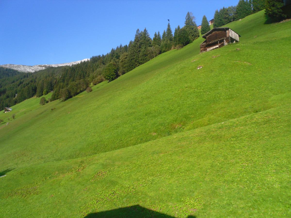 トゥクス Gruenwaldhof Bed & Breakfast エクステリア 写真